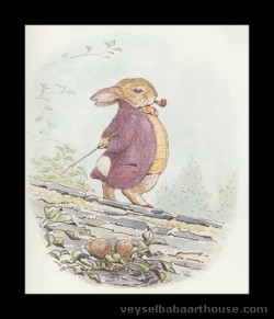 Benjamin Bunny Peter Rabbit