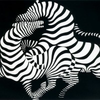 zebras1950021.jpg